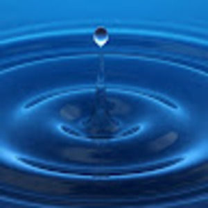 Meet your Posher, Teerth